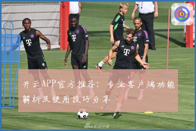开云APP官方推荐：专业客户端功能解析及使用技巧分享