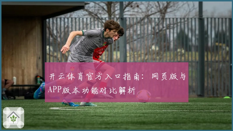 开云体育官方入口指南：网页版与APP版本功能对比解析